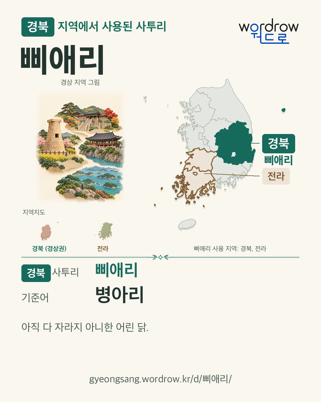 경북 지역에서 사용된 사투리 ‘삐애리’. 기준어: 병아리. 기록 지역을 표시한 지역 그림과 지도 카드.