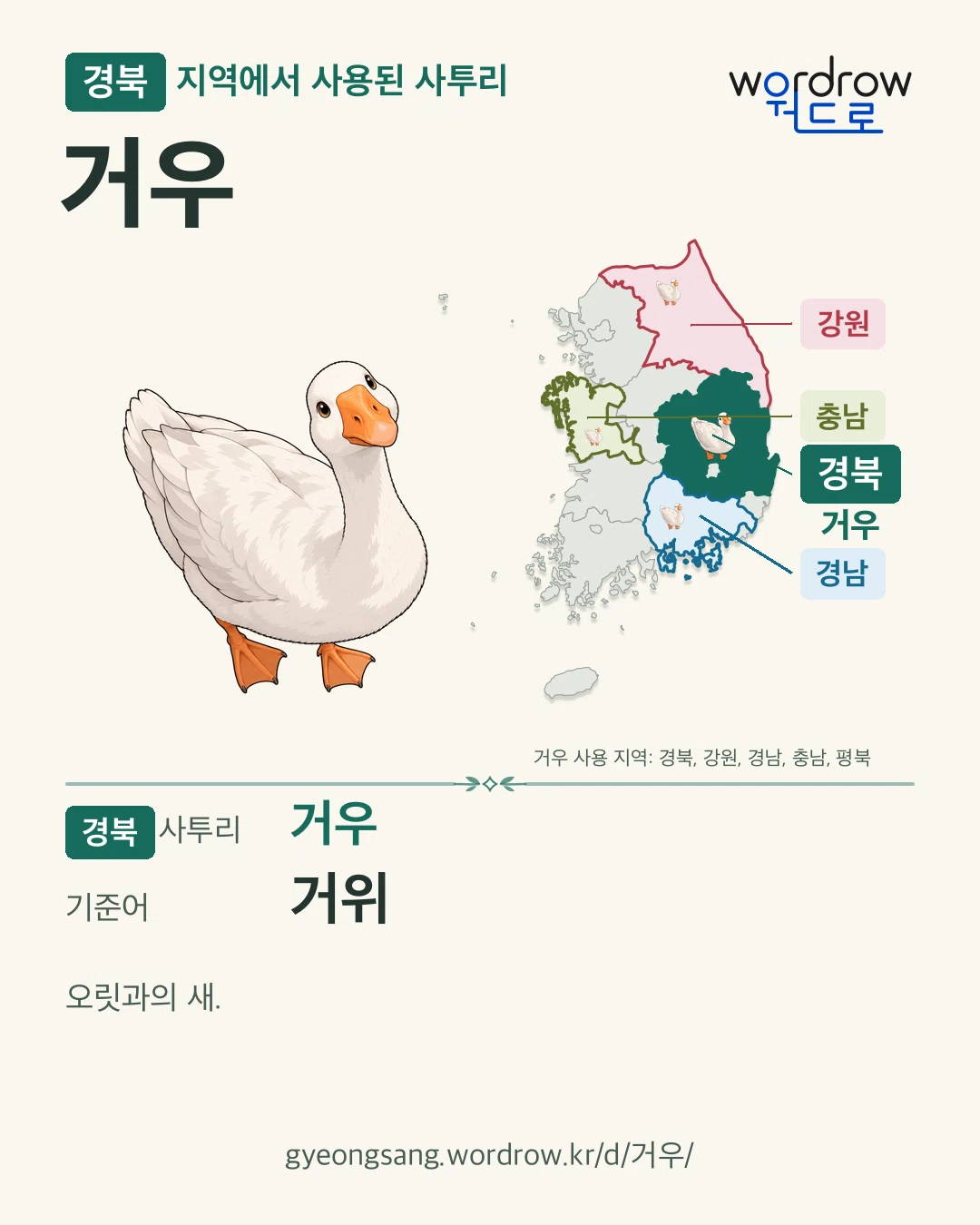 경북 지역에서 사용된 사투리 ‘거우’. 기준어: 거위. 기록 지역을 표시한 카툰 삽화와 지도 카드.