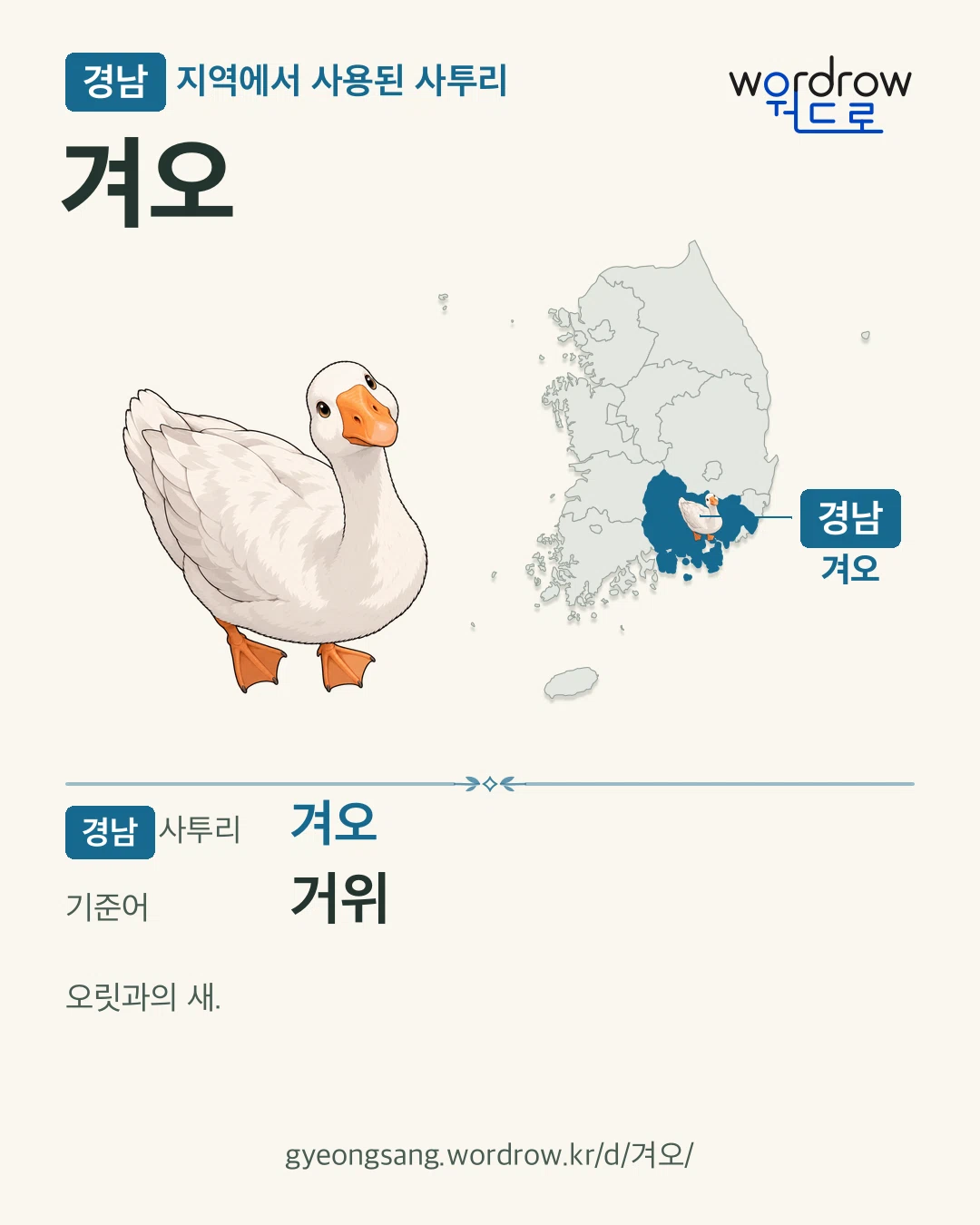 경남 지역에서 사용된 사투리 ‘겨오’. 기준어: 거위. 기록 지역을 표시한 카툰 삽화와 지도 카드.