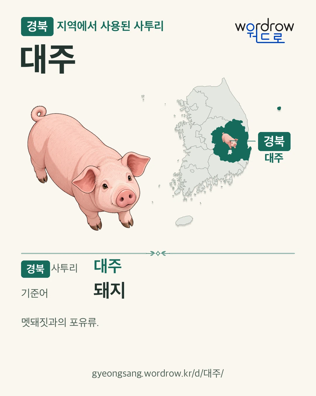 경북 지역에서 사용된 사투리 ‘대주’. 기준어: 돼지. 기록 지역을 표시한 카툰 삽화와 지도 카드.