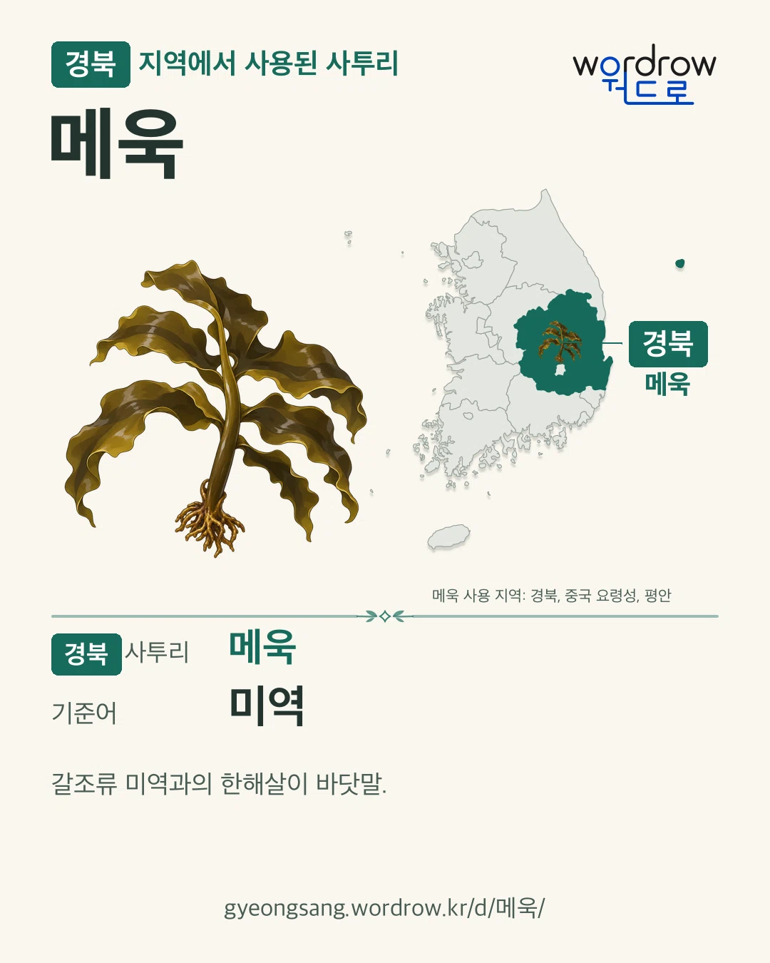 경북 지역에서 사용된 사투리 ‘메욱’. 기준어: 미역. 기록 지역을 표시한 카툰 삽화와 지도 카드.