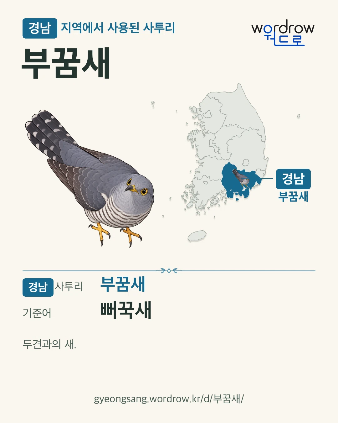 경남 지역에서 사용된 사투리 ‘부꿈새’. 기준어: 뻐꾹새. 기록 지역을 표시한 카툰 삽화와 지도 카드.