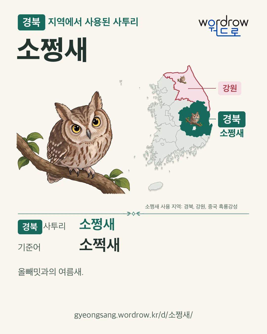 경북 지역에서 사용된 사투리 ‘소쩡새’. 기준어: 소쩍새. 기록 지역을 표시한 카툰 삽화와 지도 카드.