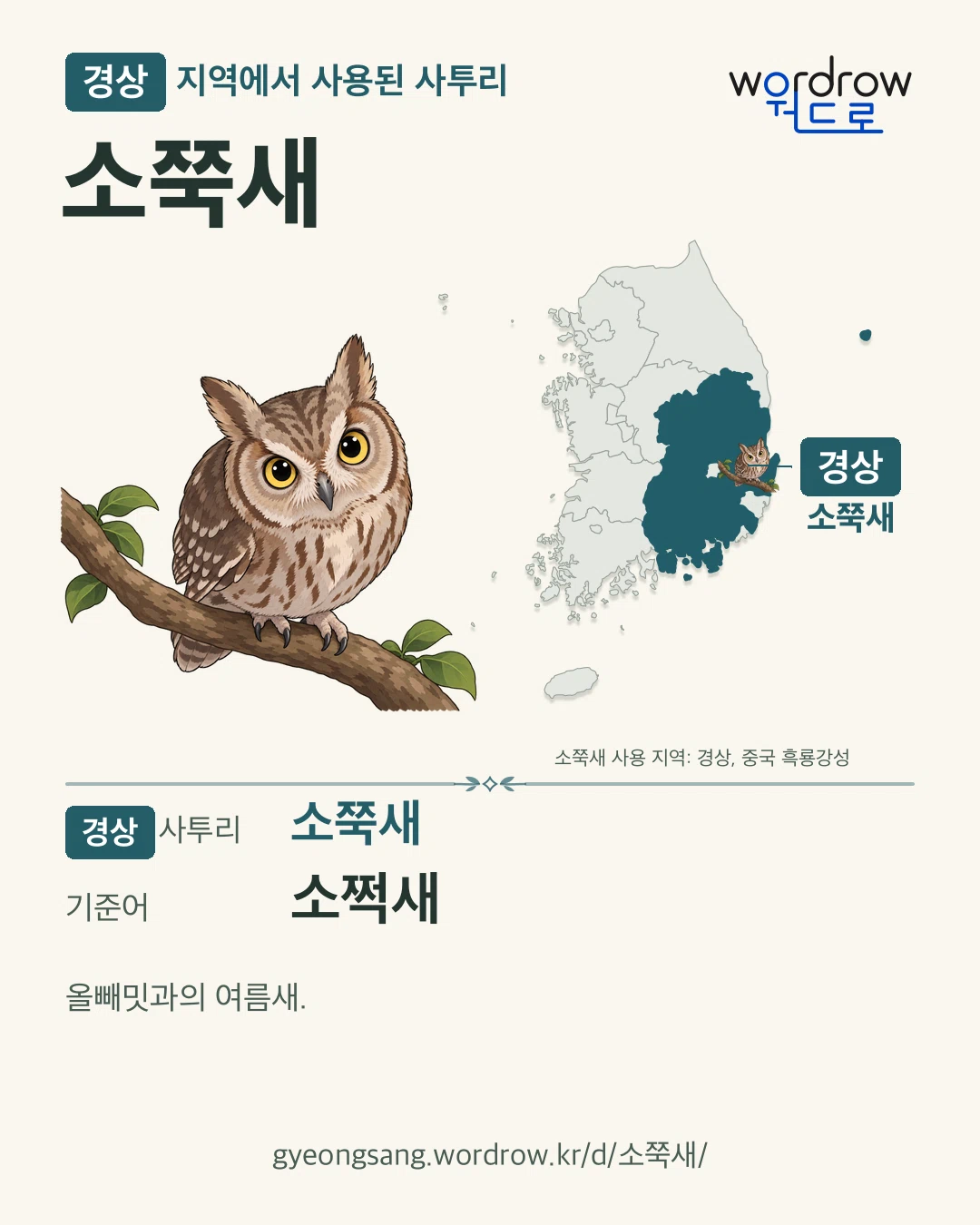 경상 지역에서 사용된 사투리 ‘소쭉새’. 기준어: 소쩍새. 기록 지역을 표시한 카툰 삽화와 지도 카드.