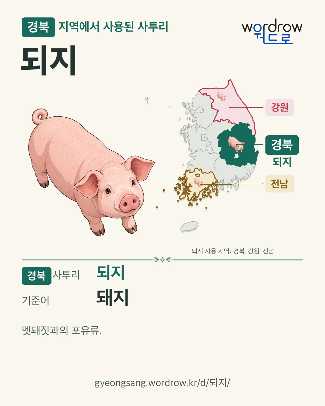 경북 지역에서 사용된 사투리 ‘되지’. 기준어: 돼지. 기록 지역을 표시한 카툰 삽화와 지도 카드.