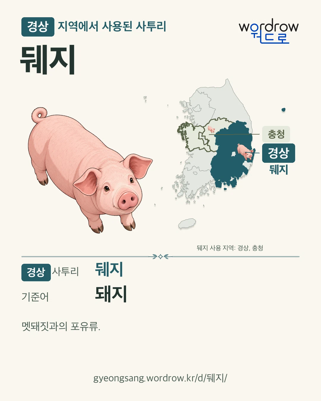 경상 지역에서 사용된 사투리 ‘뒈지’. 기준어: 돼지. 기록 지역을 표시한 카툰 삽화와 지도 카드.