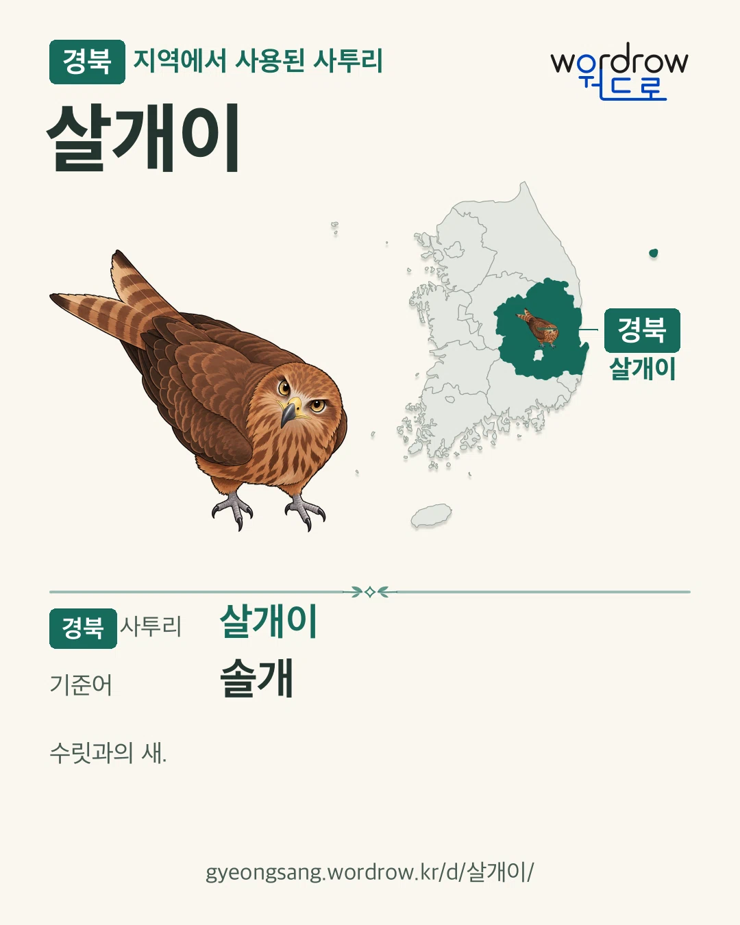 경북 지역에서 사용된 사투리 ‘살개이’. 기준어: 솔개. 기록 지역을 표시한 카툰 삽화와 지도 카드.