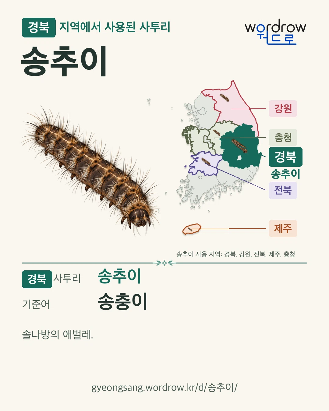 경북 지역에서 사용된 사투리 ‘송추이’. 기준어: 송충이. 기록 지역을 표시한 카툰 삽화와 지도 카드.