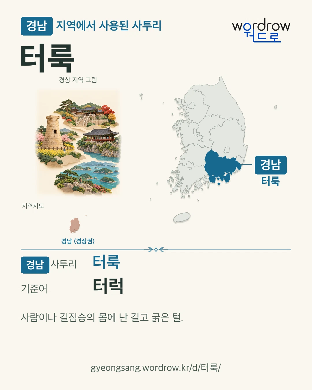 경남 지역에서 사용된 사투리 ‘터룩’. 기준어: 터럭. 기록 지역을 표시한 지역 그림과 지도 카드.