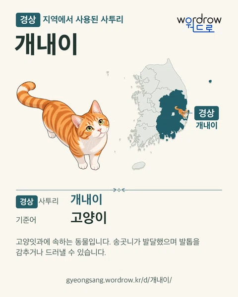 경상 지역에서 사용된 사투리 ‘개내이’. 기준어: 고양이. 기록 지역을 표시한 카툰 삽화와 지도 카드.