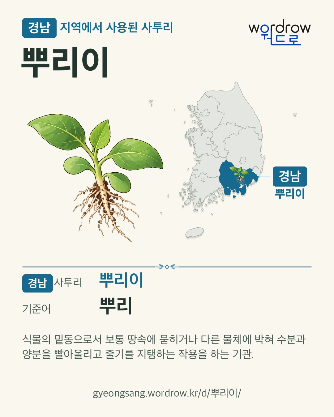 경남 지역에서 사용된 사투리 ‘뿌리이’. 기준어: 뿌리. 기록 지역을 표시한 카툰 삽화와 지도 카드.