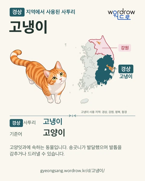 경상 지역에서 사용된 사투리 ‘고냉이’. 기준어: 고양이. 기록 지역을 표시한 카툰 삽화와 지도 카드.