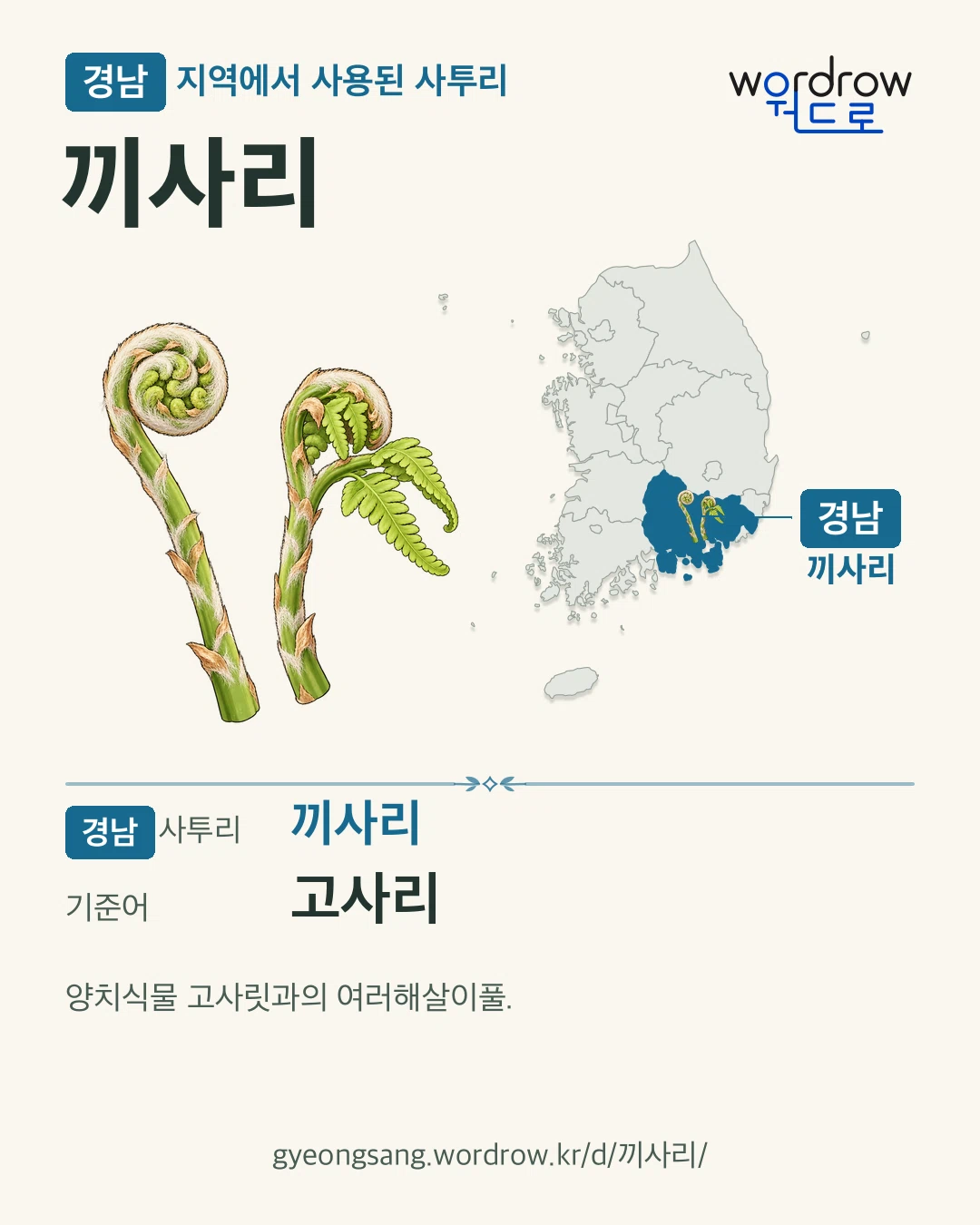 경남 지역에서 사용된 사투리 ‘끼사리’. 기준어: 고사리. 기록 지역을 표시한 카툰 삽화와 지도 카드.