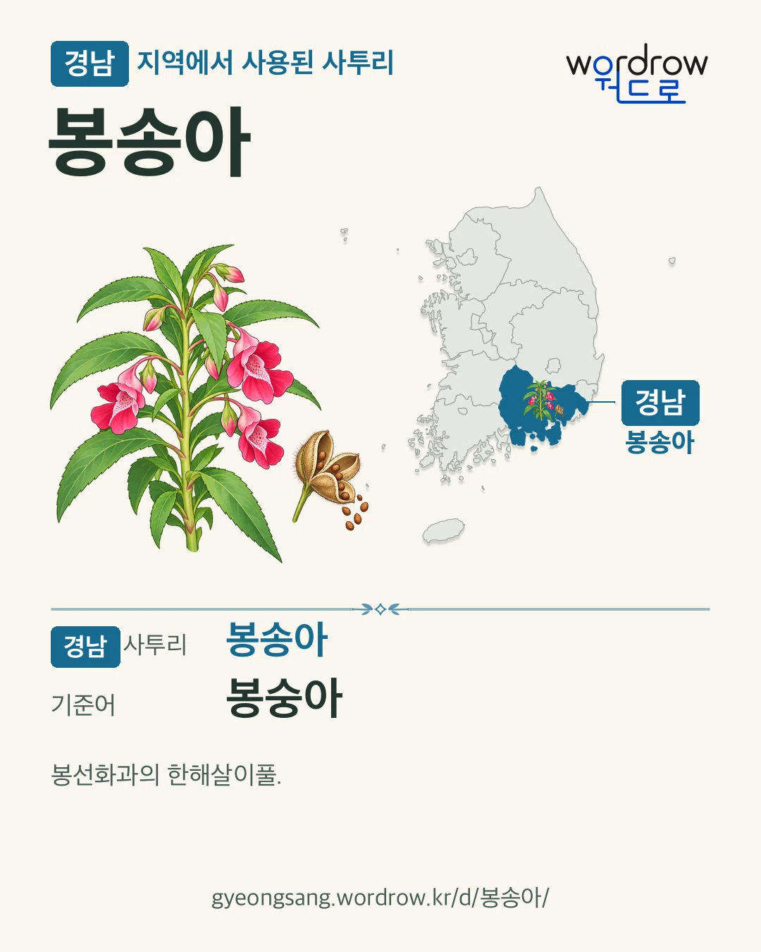 경남 지역에서 사용된 사투리 ‘봉송아’. 기준어: 봉숭아. 기록 지역을 표시한 카툰 삽화와 지도 카드.