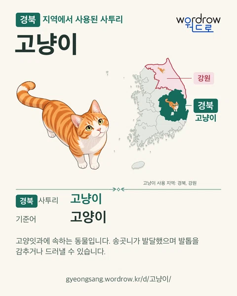 고냥이의 고양이 뜻과 기록 지역을 보여 주는 지도형 카드