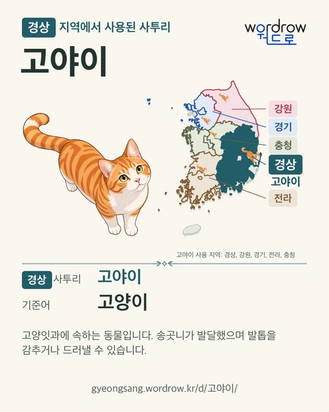경상 지역에서 사용된 사투리 ‘고야이’. 기준어: 고양이. 기록 지역을 표시한 카툰 삽화와 지도 카드.