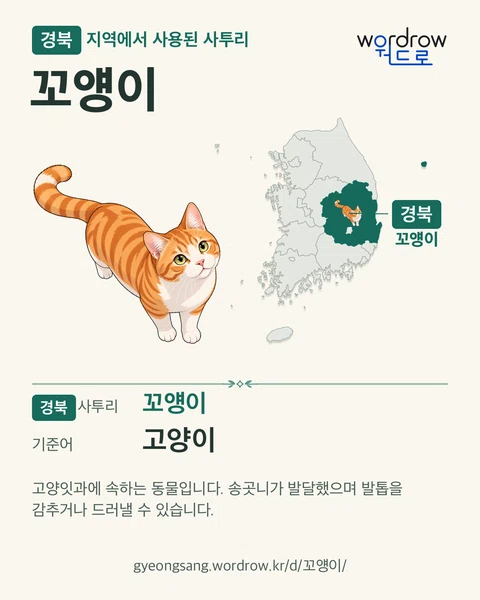경북 지역에서 사용된 사투리 ‘꼬얭이’. 기준어: 고양이. 기록 지역을 표시한 카툰 삽화와 지도 카드.