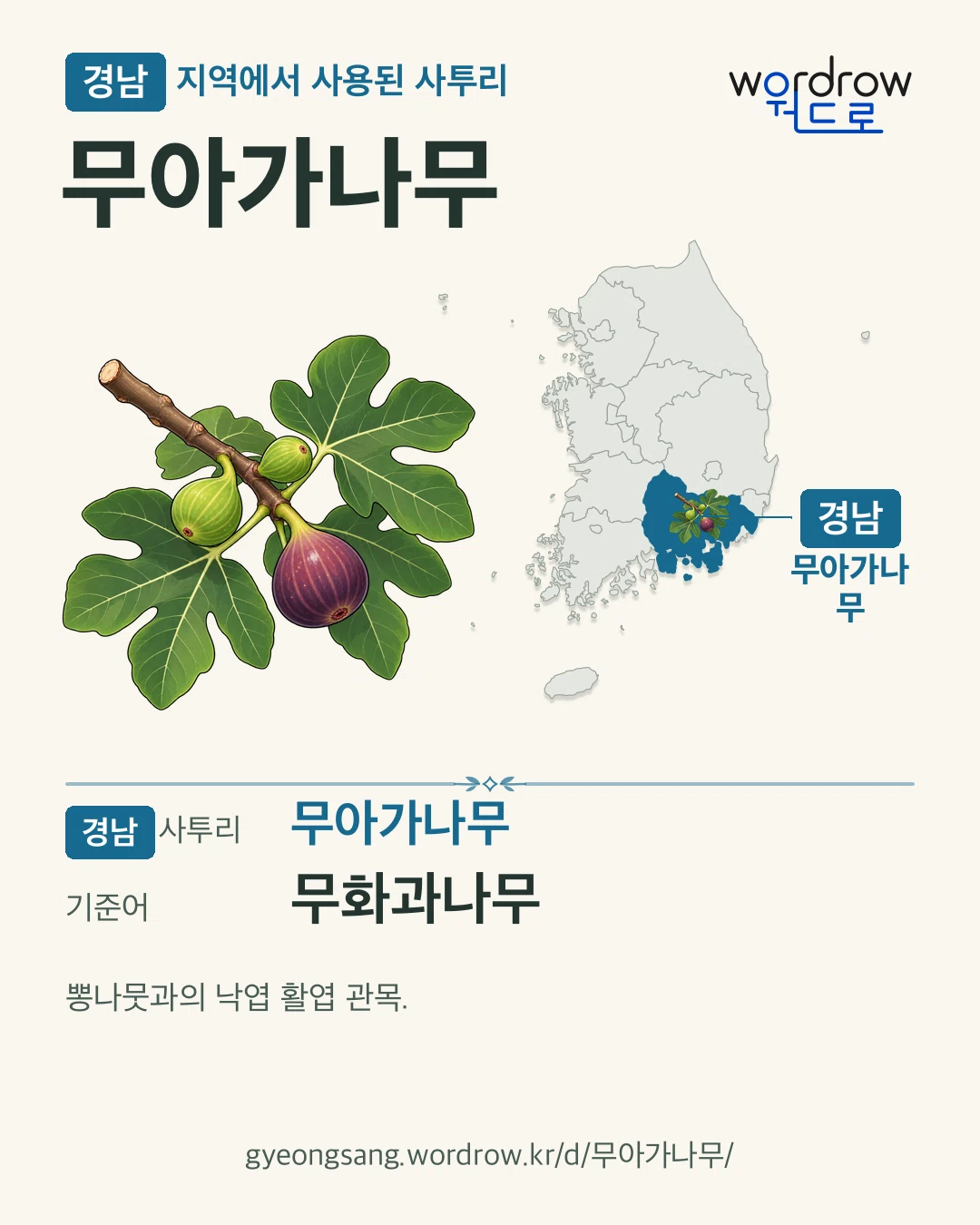 경남 지역에서 사용된 사투리 ‘무아가나무’. 기준어: 무화과나무. 기록 지역을 표시한 카툰 삽화와 지도 카드.
